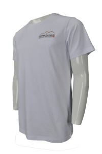 T734   訂造圓領短袖T恤  網上下單淨色T恤   瑞士 RB  T恤hk中心   白色